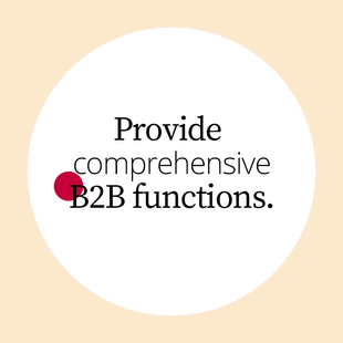 Offer a wide range of B2B features